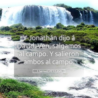 Picture 05 - 1 Samuel 20:11 RVA - Y Jonathán dijo á David: Ven, salgamos al - Bible Verse Picture