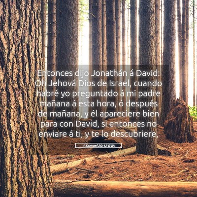 Picture 05 - 1 Samuel 20:12 RVA - Entonces dijo Jonathán á David: Oh Jehová Dios - Bible Verse Picture