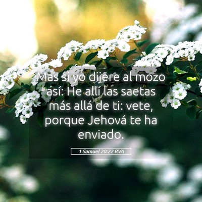 Picture 05 - 1 Samuel 20:22 RVA - Mas si yo dijere al mozo así: He allí las - Bible Verse Picture