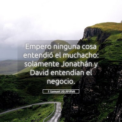 Picture 05 - 1 Samuel 20:39 RVA - Empero ninguna cosa entendió el muchacho: - Bible Verse Picture
