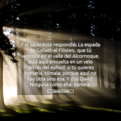 Picture 05 - 1 Samuel 21:9 RVA - Y el sacerdote respondió: La espada de Goliath - Bible Verse Picture
