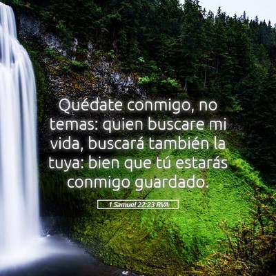 Picture 05 - 1 Samuel 22:23 RVA - Quédate conmigo, no temas: quien buscare mi - Bible Verse Picture
