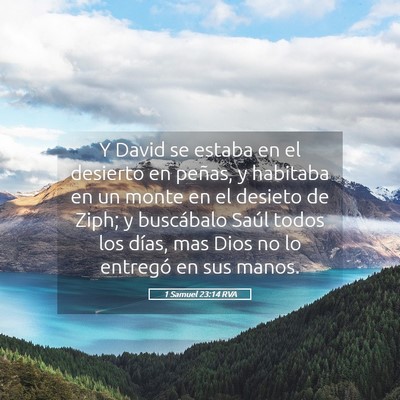 Picture 05 - 1 Samuel 23:14 RVA - Y David se estaba en el desierto en peñas, y - Bible Verse Picture