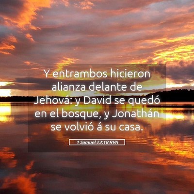 Picture 05 - 1 Samuel 23:18 RVA - Y entrambos hicieron alianza delante de Jehová: - Bible Verse Picture