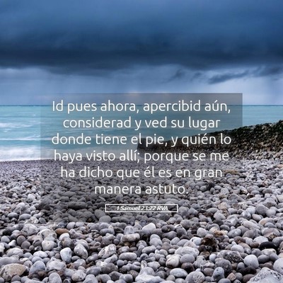 Picture 05 - 1 Samuel 23:22 RVA - Id pues ahora, apercibid aún, considerad y ved - Bible Verse Picture