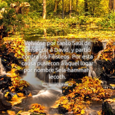 Picture 05 - 1 Samuel 23:28 RVA - Volvióse por tanto Saúl de perseguir á David, - Bible Verse Picture