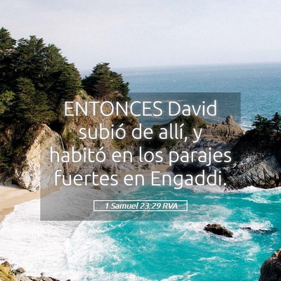 Picture 05 - 1 Samuel 23:29 RVA - ENTONCES David subió de allí, y habitó en los - Bible Verse Picture