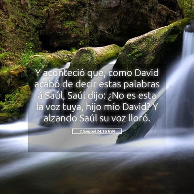 Picture 05 - 1 Samuel 24:16 RVA - Y aconteció que, como David acabó de decir - Bible Verse Picture