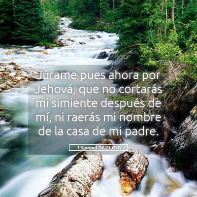 Picture 05 - 1 Samuel 24:21 RVA - Júrame pues ahora por Jehová, que no cortarás - Bible Verse Picture