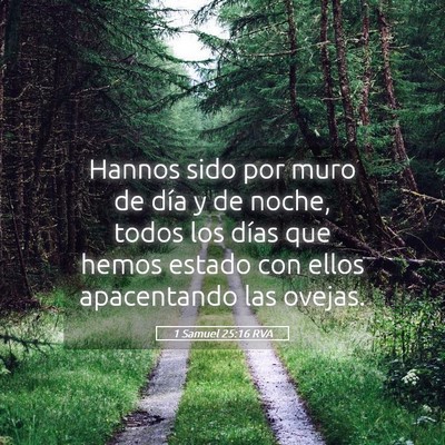 Picture 05 - 1 Samuel 25:16 RVA - Hannos sido por muro de día y de noche, todos - Bible Verse Picture