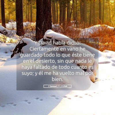 Picture 05 - 1 Samuel 25:21 RVA - Y David había dicho: Ciertamente en vano he - Bible Verse Picture