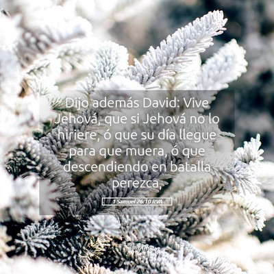 Picture 05 - 1 Samuel 26:10 RVA - Dijo además David: Vive Jehová, que si Jehová - Bible Verse Picture