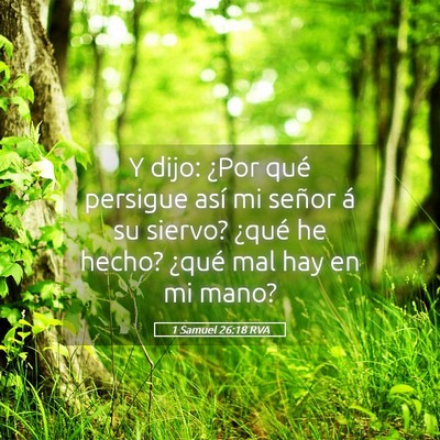 Picture 05 - 1 Samuel 26:18 RVA - Y dijo: ¿Por qué persigue así mi señor á su - Bible Verse Picture