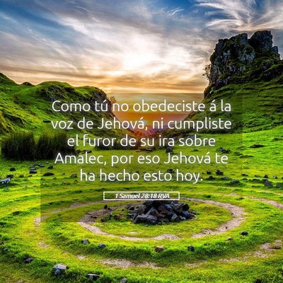 Picture 05 - 1 Samuel 28:18 RVA - Como tú no obedeciste á la voz de Jehová, ni - Bible Verse Picture