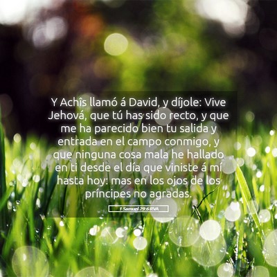 Picture 05 - 1 Samuel 29:6 RVA - Y Achîs llamó á David, y díjole: Vive - Bible Verse Picture
