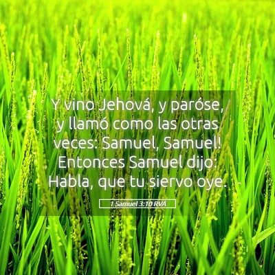 Picture 05 - 1 Samuel 3:10 RVA - Y vino Jehová, y paróse, y llamó como las - Bible Verse Picture