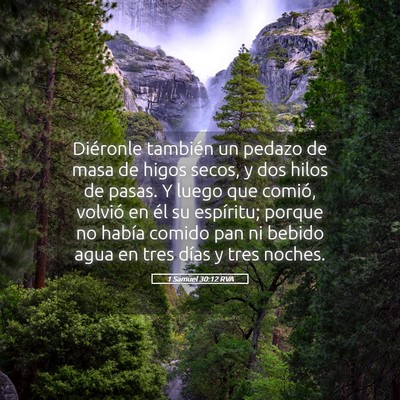 Picture 05 - 1 Samuel 30:12 RVA - Diéronle también un pedazo de masa de higos - Bible Verse Picture