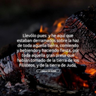 Picture 05 - 1 Samuel 30:16 RVA - Llevólo pues: y he aquí que estaban derramados - Bible Verse Picture
