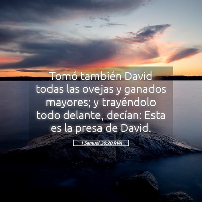 Picture 05 - 1 Samuel 30:20 RVA - Tomó también David todas las ovejas y ganados - Bible Verse Picture