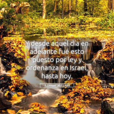 Picture 05 - 1 Samuel 30:25 RVA - Y desde aquel día en adelante fué esto puesto - Bible Verse Picture