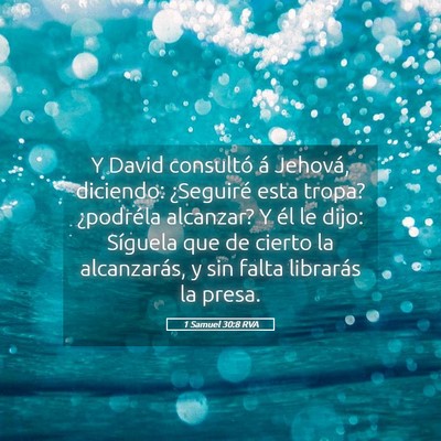 Picture 05 - 1 Samuel 30:8 RVA - Y David consultó á Jehová, diciendo: - Bible Verse Picture