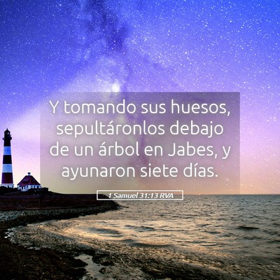Picture 05 - 1 Samuel 31:13 RVA - Y tomando sus huesos, sepultáronlos debajo de un - Bible Verse Picture
