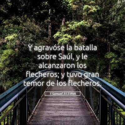 Picture 05 - 1 Samuel 31:3 RVA - Y agravóse la batalla sobre Saúl, y le - Bible Verse Picture