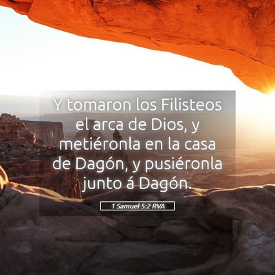 Picture 05 - 1 Samuel 5:2 RVA - Y tomaron los Filisteos el arca de Dios, y - Bible Verse Picture