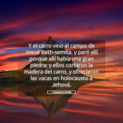 Picture 05 - 1 Samuel 6:14 RVA - Y el carro vino al campo de Josué Beth-semita, y - Bible Verse Picture