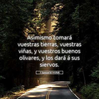 Picture 05 - 1 Samuel 8:14 RVA - Asimismo tomará vuestras tierras, vuestras - Bible Verse Picture