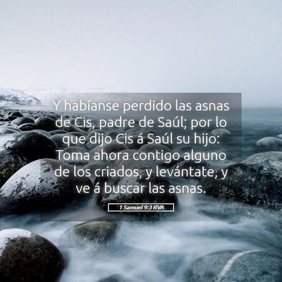 Picture 05 - 1 Samuel 9:3 RVA - Y habíanse perdido las asnas de Cis, padre de - Bible Verse Picture