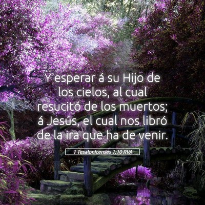 Picture 05 - 1 Tesalonicenses 1:10 RVA - Y esperar á su Hijo de los cielos, al cual - Bible Verse Picture