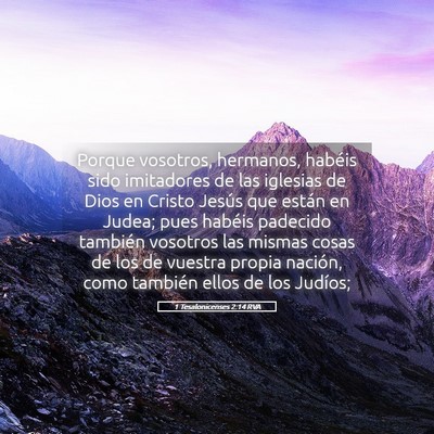 Picture 05 - 1 Tesalonicenses 2:14 RVA - Porque vosotros, hermanos, habéis sido - Bible Verse Picture