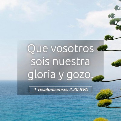 Picture 05 - 1 Tesalonicenses 2:20 RVA - Que vosotros sois nuestra gloria y - Bible Verse Picture