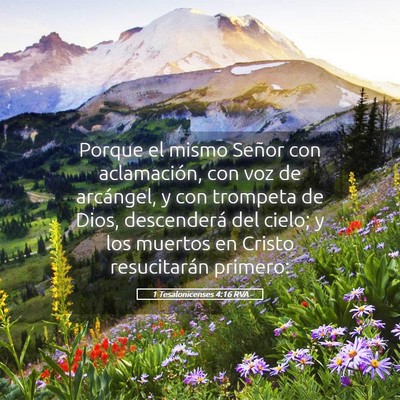 Picture 05 - 1 Tesalonicenses 4:16 RVA - Porque el mismo Señor con aclamación, con voz - Bible Verse Picture