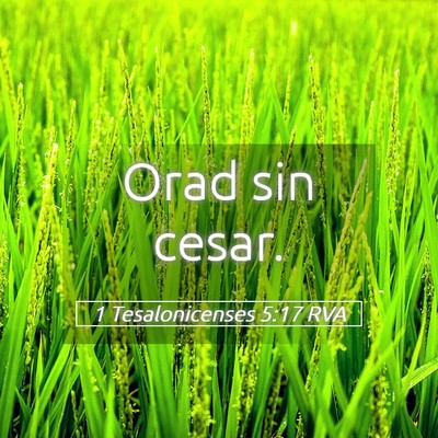 Picture 05 - 1 Tesalonicenses 5:17 RVA - Orad sin - Bible Verse Picture
