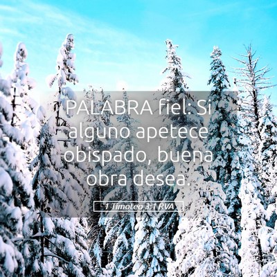 Picture 05 - 1 Timoteo 3:1 RVA - PALABRA fiel: Si alguno apetece obispado, buena - Bible Verse Picture