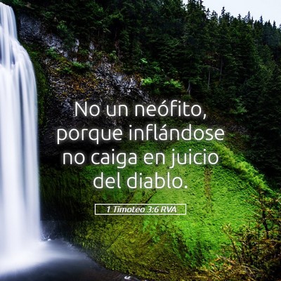 Picture 05 - 1 Timoteo 3:6 RVA - No un neófito, porque inflándose no caiga en - Bible Verse Picture