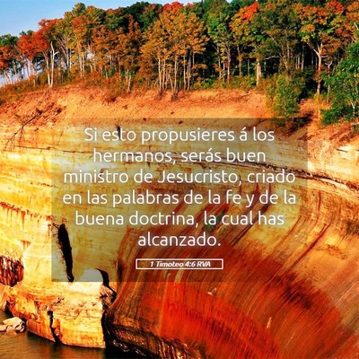 Picture 05 - 1 Timoteo 4:6 RVA - Si esto propusieres á los hermanos, serás buen - Bible Verse Picture