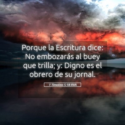 Picture 05 - 1 Timoteo 5:18 RVA - Porque la Escritura dice: No embozarás al buey - Bible Verse Picture