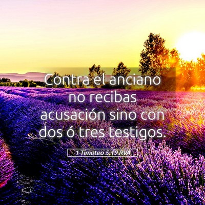Picture 05 - 1 Timoteo 5:19 RVA - Contra el anciano no recibas acusación sino con - Bible Verse Picture
