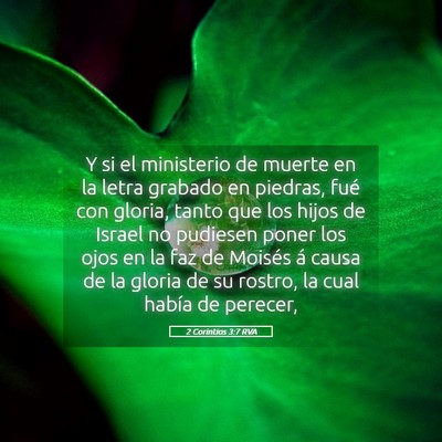Picture 05 - 2 Corintios 3:7 RVA - Y si el ministerio de muerte en la letra grabado - Bible Verse Picture
