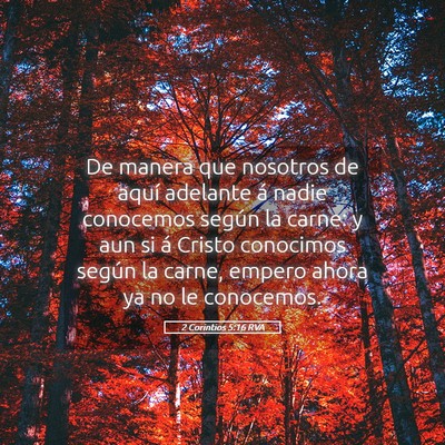 Picture 05 - 2 Corintios 5:16 RVA - De manera que nosotros de aquí adelante á nadie - Bible Verse Picture