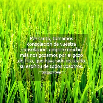 Picture 05 - 2 Corintios 7:13 RVA - Por tanto, tomamos consolación de vuestra - Bible Verse Picture
