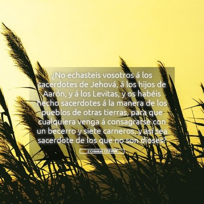 Picture 05 - 2 Crónicas 13:9 RVA - ¿No echasteis vosotros á los sacerdotes de - Bible Verse Picture
