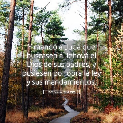 Picture 05 - 2 Crónicas 14:4 RVA - Y mandó á Judá que buscasen á Jehová el Dios - Bible Verse Picture