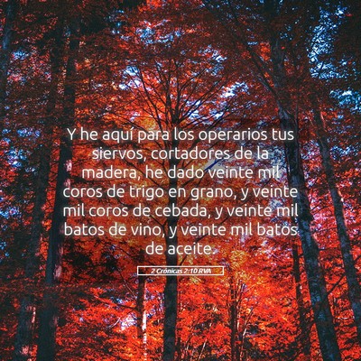 Picture 05 - 2 Crónicas 2:10 RVA - Y he aquí para los operarios tus siervos, - Bible Verse Picture