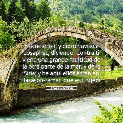 Picture 05 - 2 Crónicas 20:2 RVA - Y acudieron, y dieron aviso á Josaphat, - Bible Verse Picture