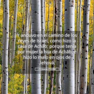 Picture 05 - 2 Crónicas 21:6 RVA - Y anduvo en el camino de los reyes de Israel, - Bible Verse Picture
