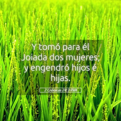 Picture 05 - 2 Crónicas 24:3 RVA - Y tomó para él Joiada dos mujeres; y engendró - Bible Verse Picture